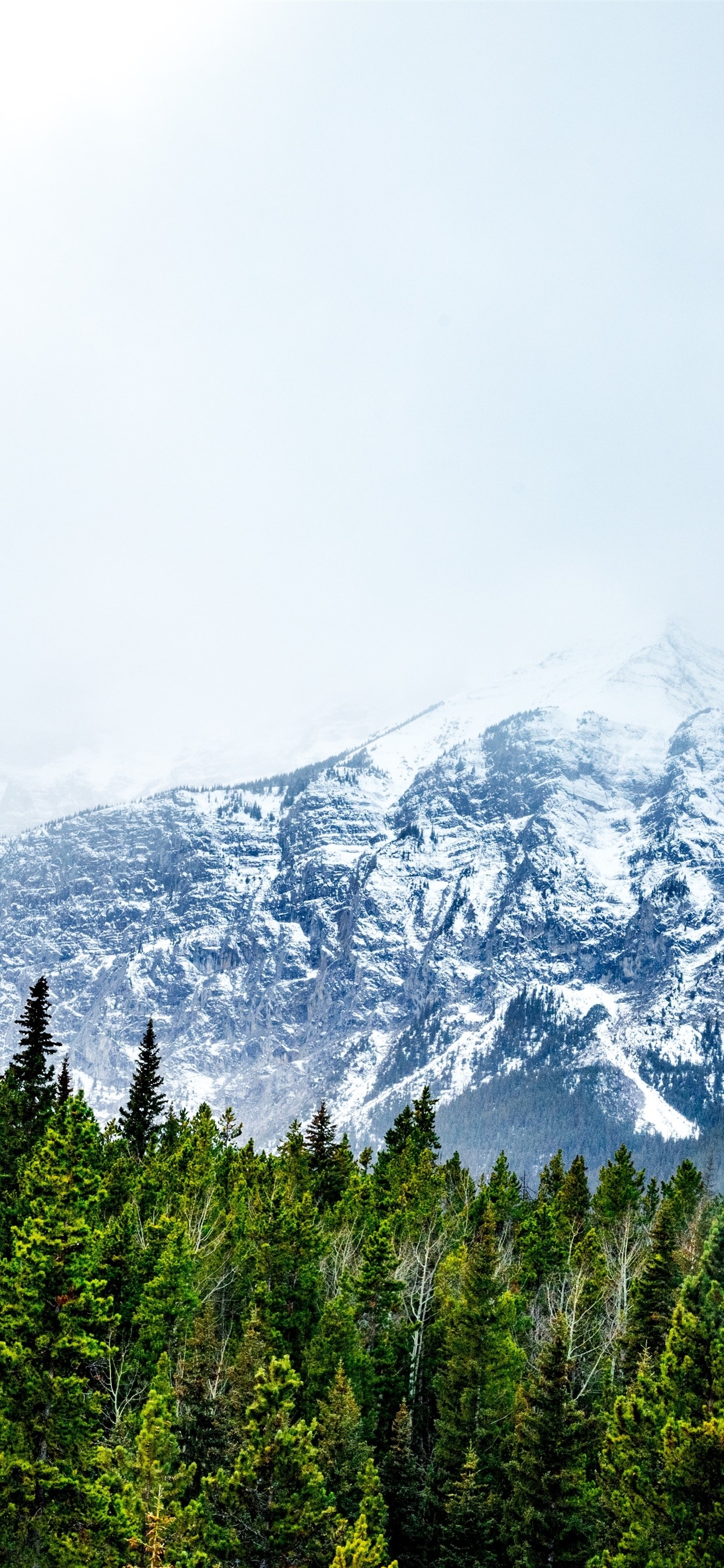 1250x2690 iPhone Wallpaper Snowy Mountains, Forest, Fog Snow Mountain, Phone