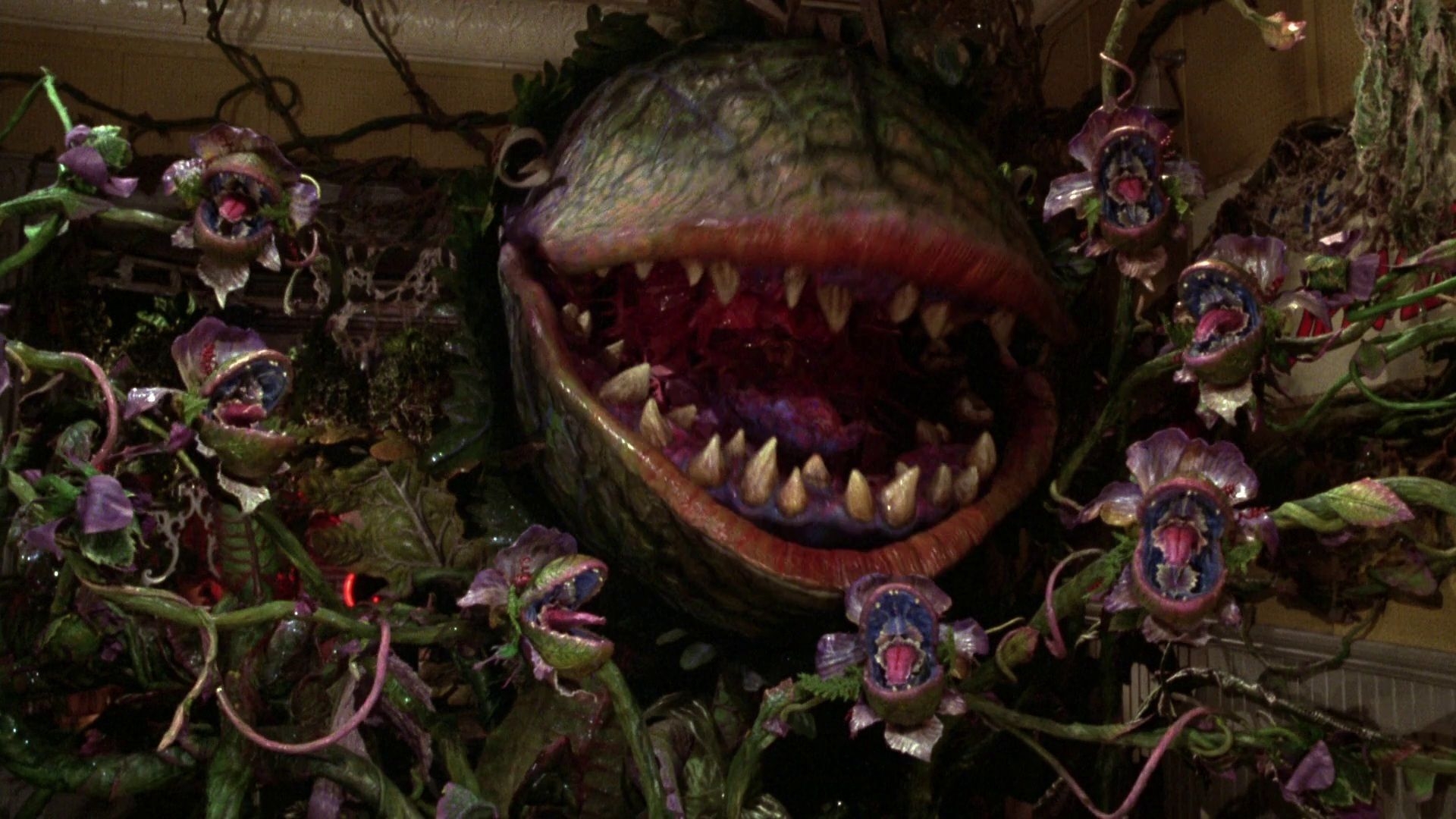 1920x1080 Chosen One of the Day: Audrey II from Little Shop of Horrors, Desktop