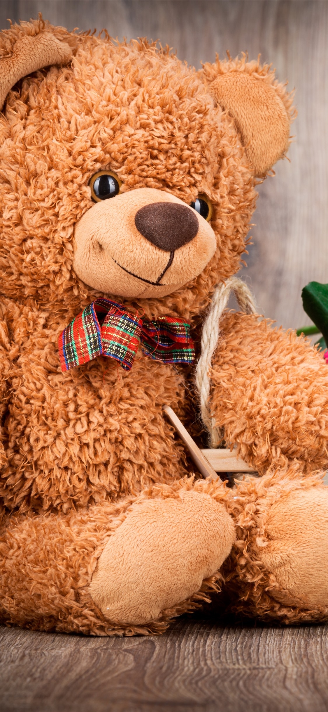 1130x2440 Teddy Bear And Colorful Roses, Romantic 1242x2688 IPhone 11 Pro XS Max Wallpaper, Background, Picture, Image, Phone