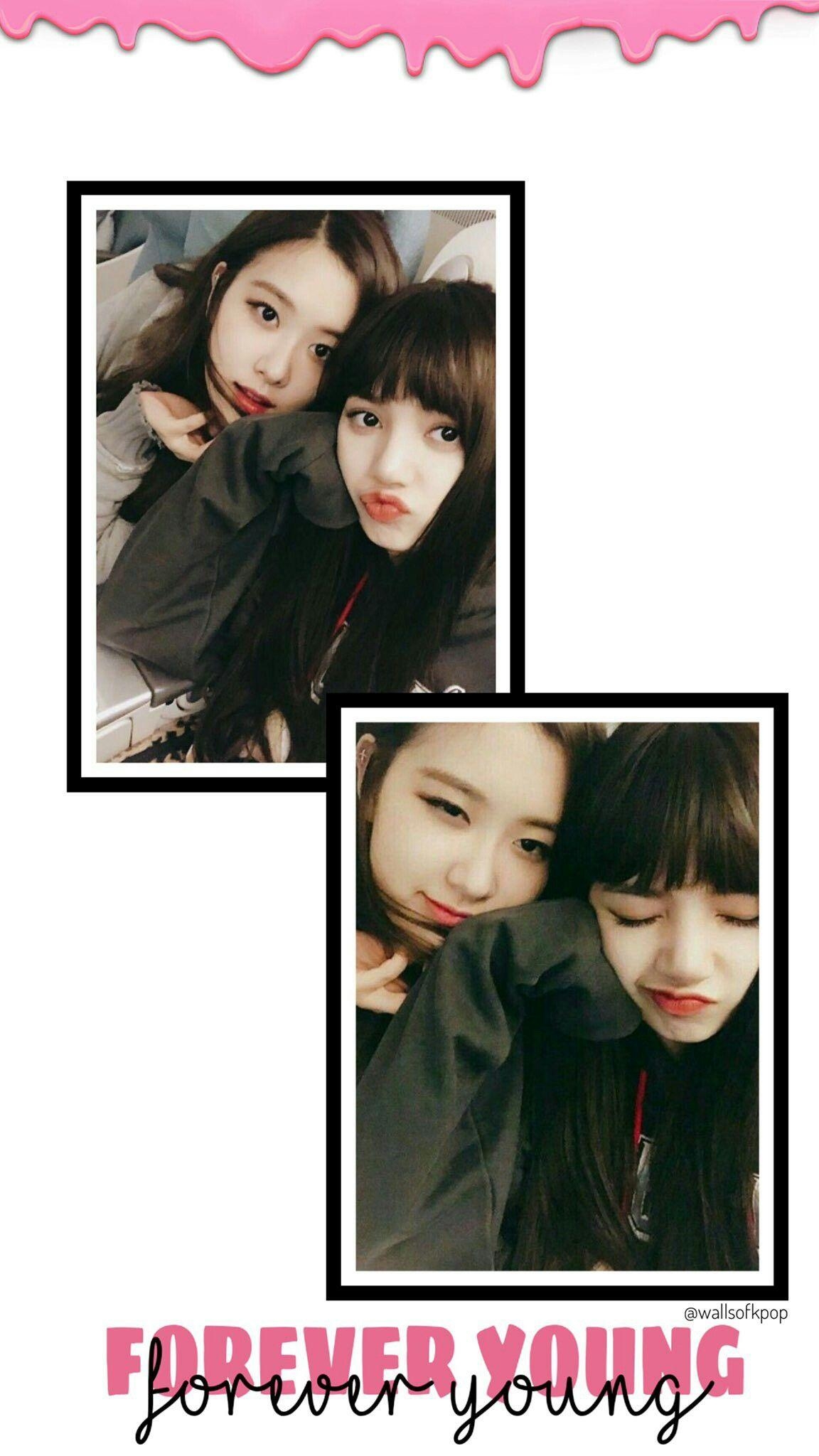 1160x2050 BlackPink Chaelisa Rose X Lisa Shipp Girl X Girl Lesbian K Pop, Phone