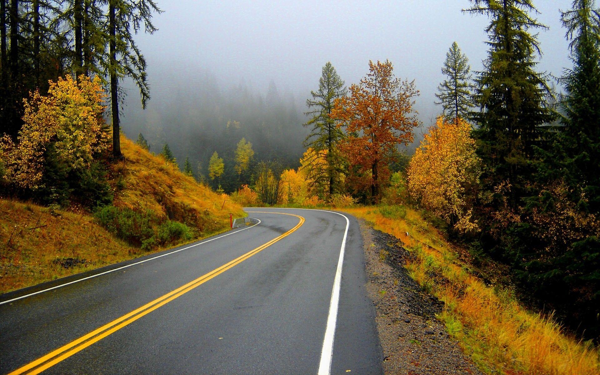 1920x1200 Other: Autumn Road Trip Forest Fog Fall Trees Roads Wallpaper, Desktop