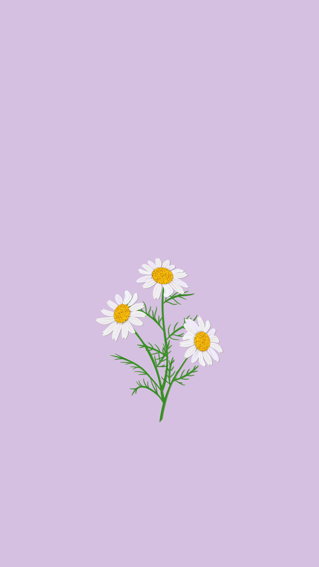 1080x1920 Aesthetic Purple Flower Wallpaper, Phone