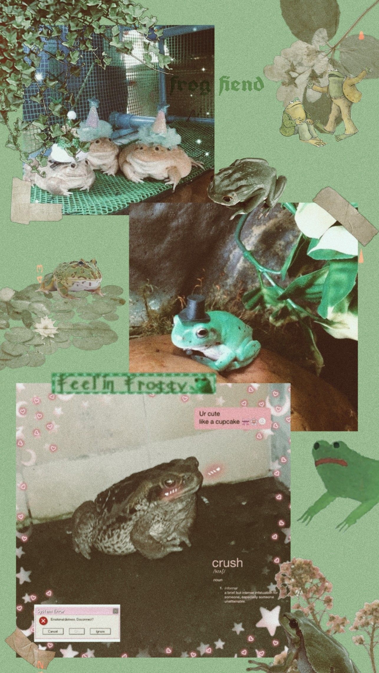 1290x2290 Frog wallpaper. Frog wallpaper, Frog picture, Cute frogs, Phone