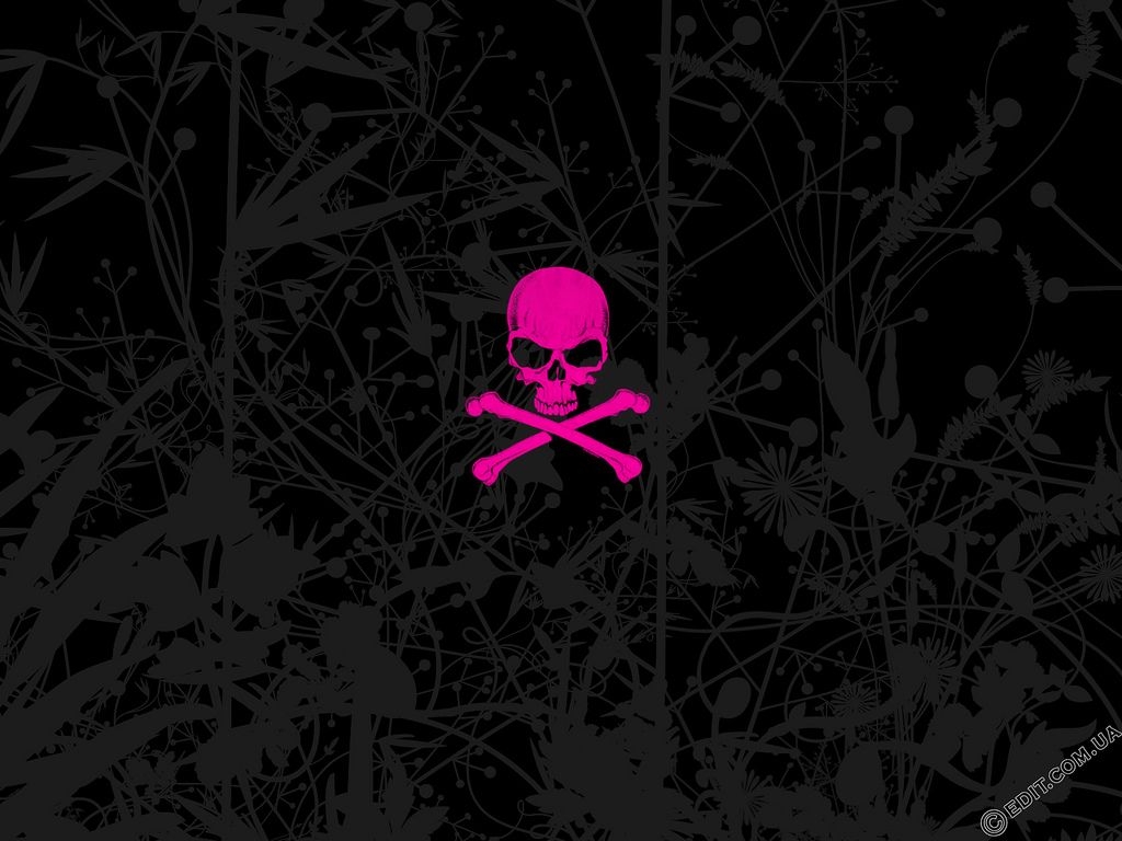 1030x770 Pink Emo Skull wallpaper from EMO wallpaper, Desktop