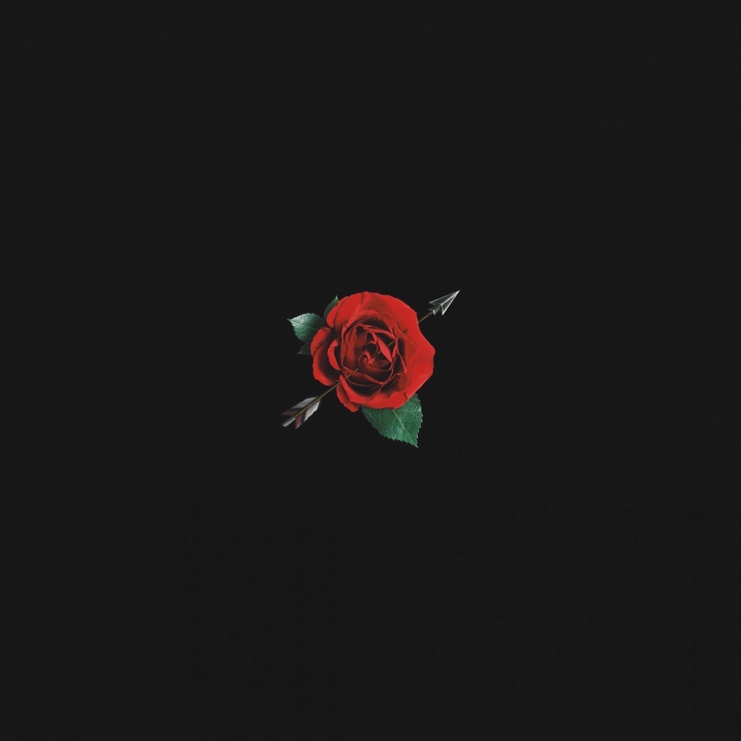 2560x2560 Black Rose Aesthetic Wallpaper Free Black Rose Aesthetic, Phone