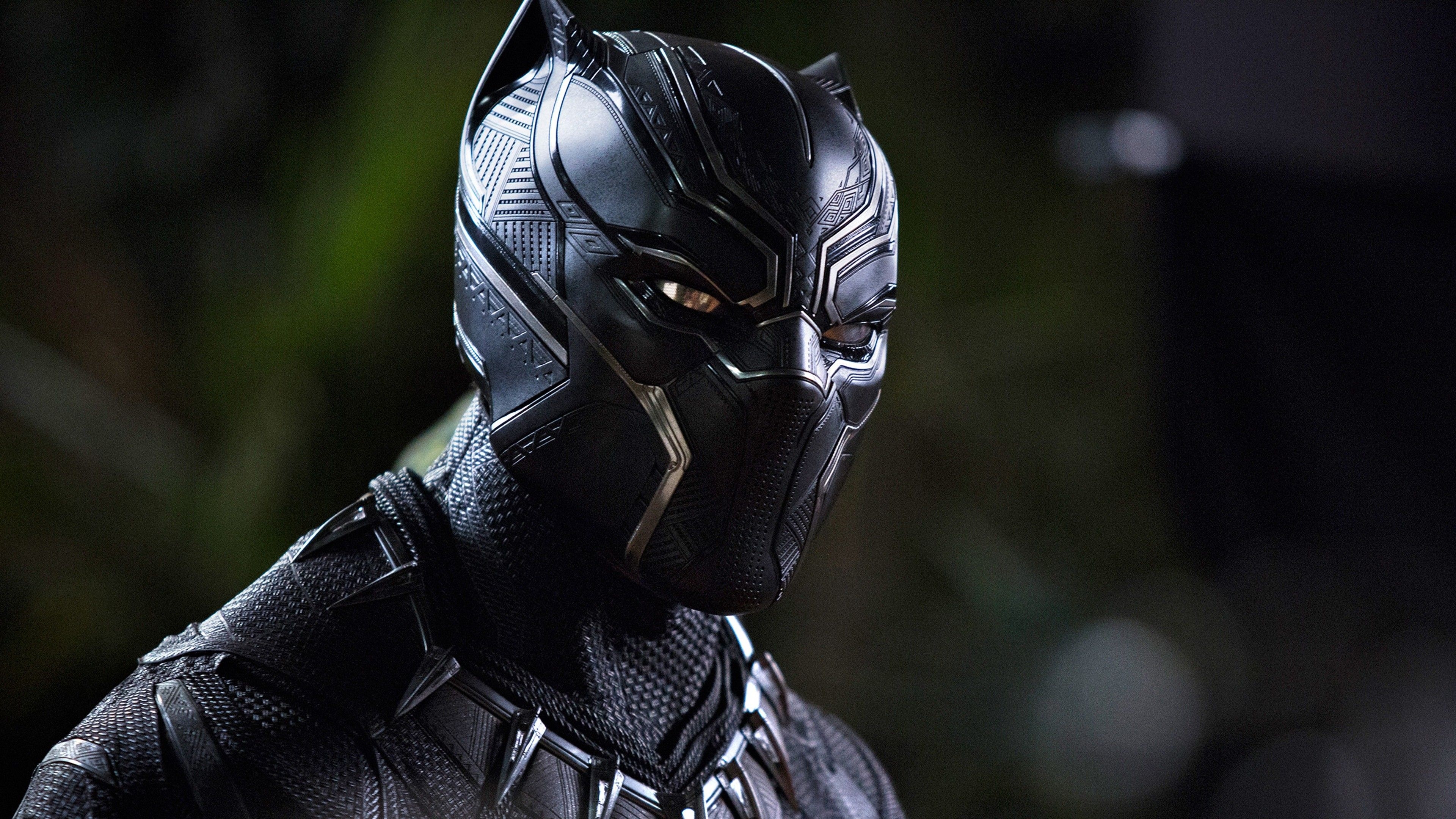 3840x2160 Black Panther HD Desktop Wallpaper 29456, Desktop