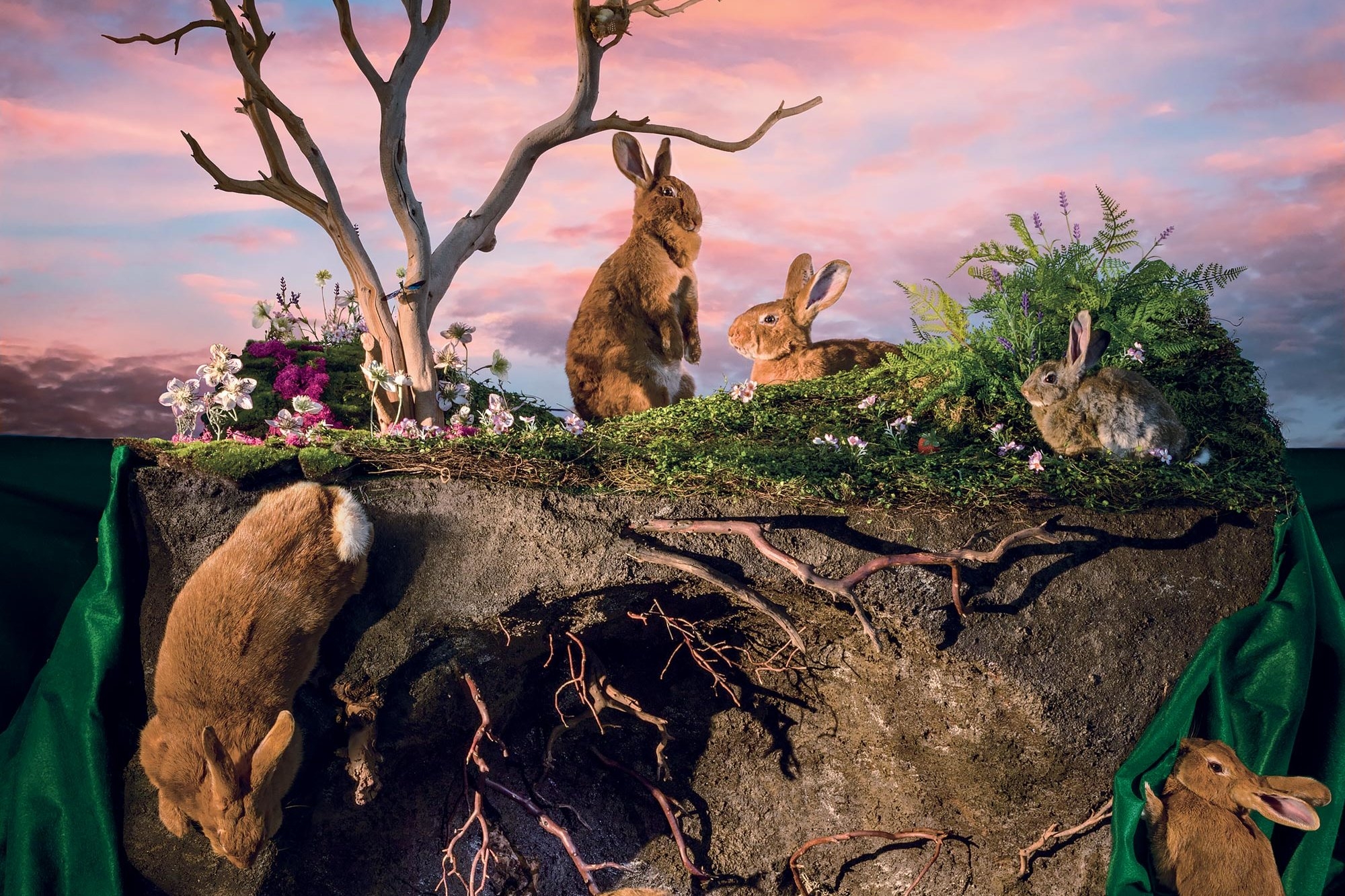 2000x1340 On the Unsettling Allure of 'Watership Down', Desktop