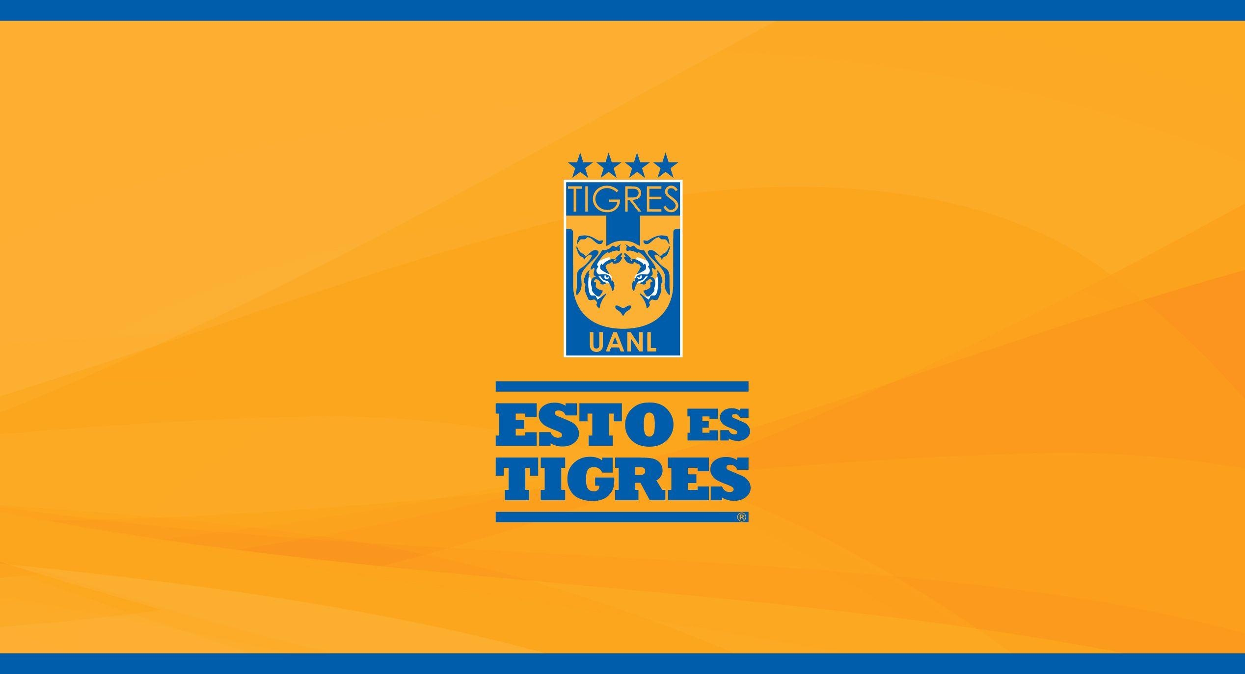 2540x1380 Tigres UANL, Desktop