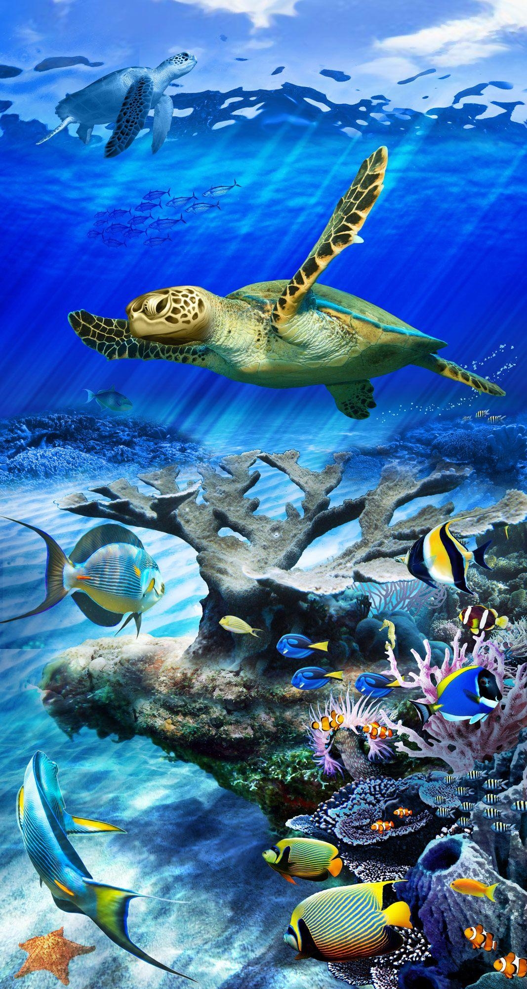 1070x2000 Sea Turtle Reef Stained Glass Art. Sea turtle picture, Ocean, Phone