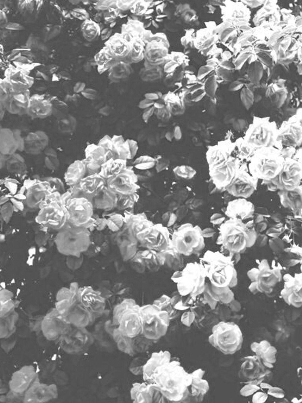 1200x1600 Black and White Aesthetic Flower Wallpaper Free Black, Phone