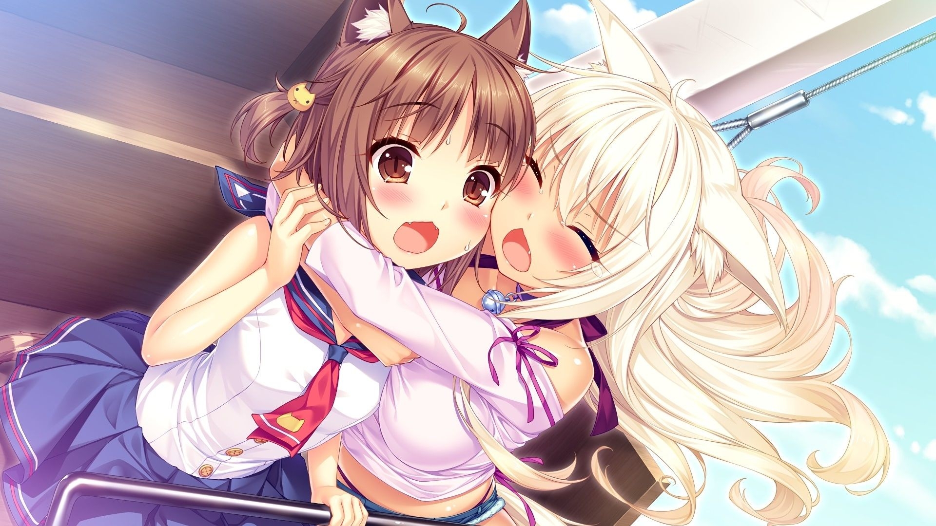 1920x1080 Desktop Wallpaper Azuki, Coconut, Anime Girls, Cute, Nekopara, HD Image, Picture, Background, 46f346, Desktop