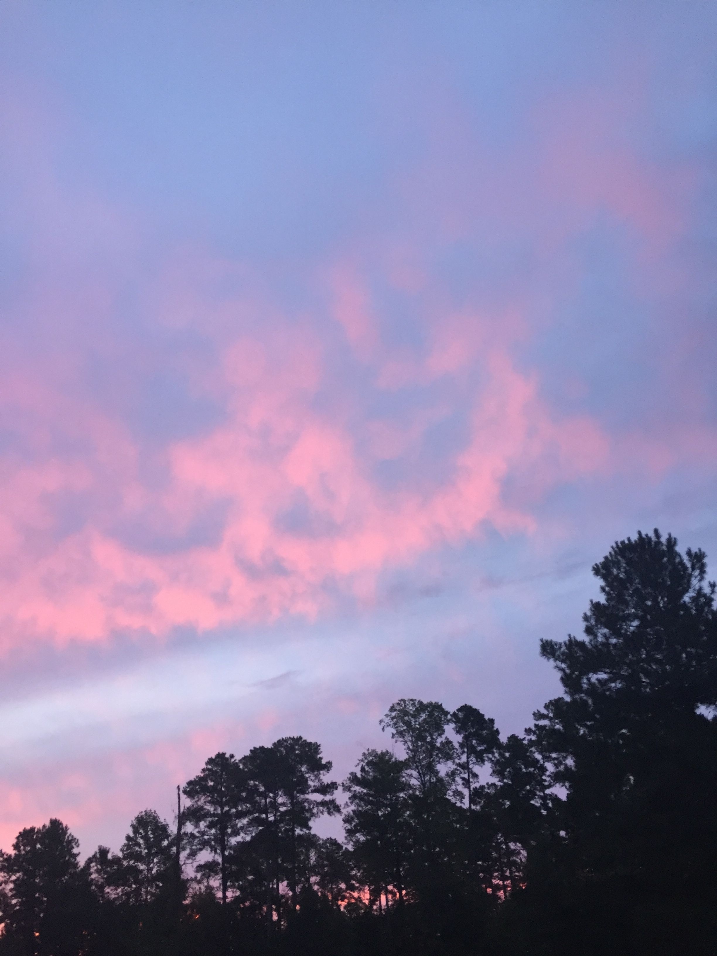 2450x3270 neat photo I took one morning! quite beautiful indeed. pastel aesthetic sky. Pastel aesthetic, Aesthetic wallpaper, Beautiful sky, Phone