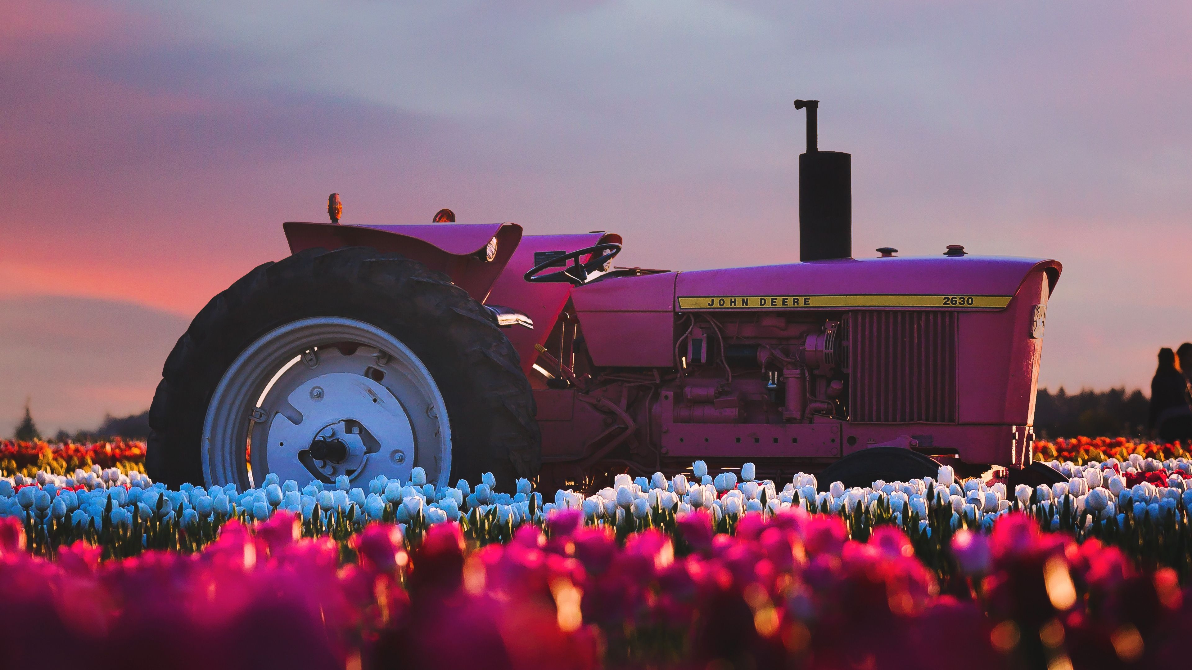 3840x2160 John Deere Tractor In Flower Farm 4k 4k HD 4k Wallpaper, Image, Background, Photo and Picture, Desktop