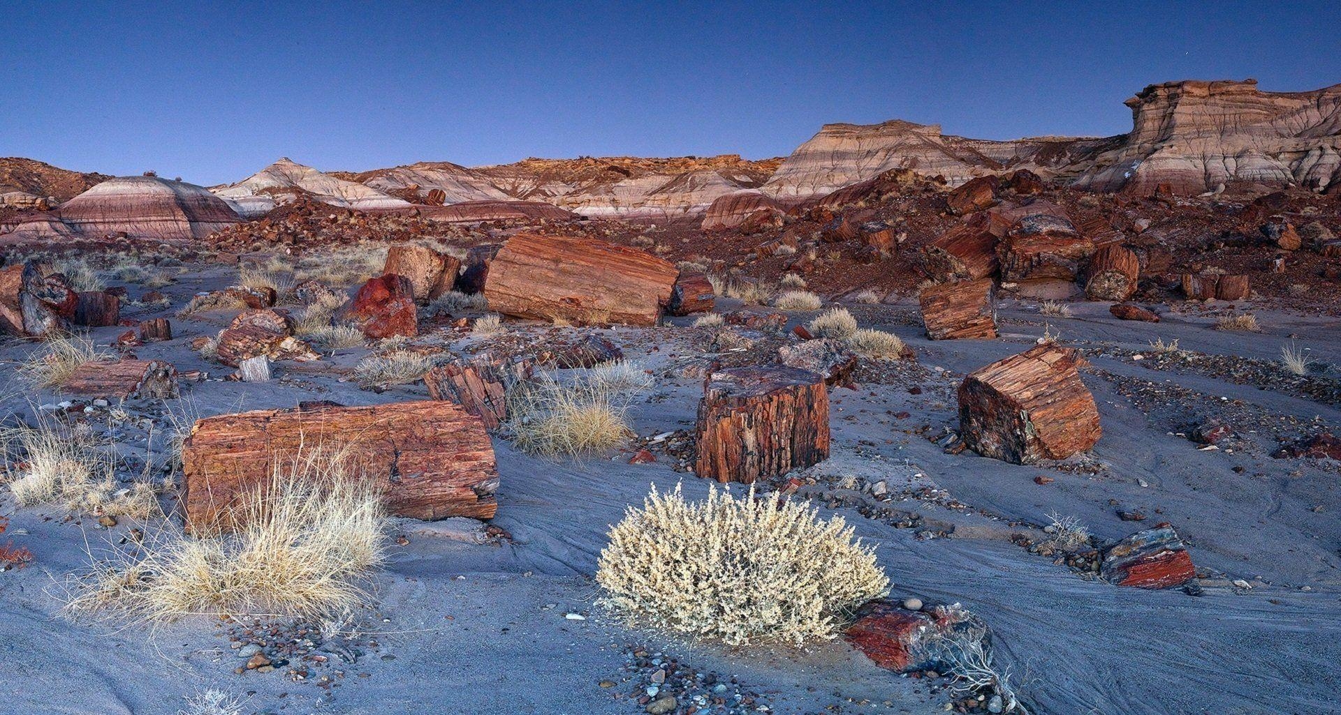 1920x1030 Jasper Forest in the Petrified Forest National Park USA Wallpaper, Desktop