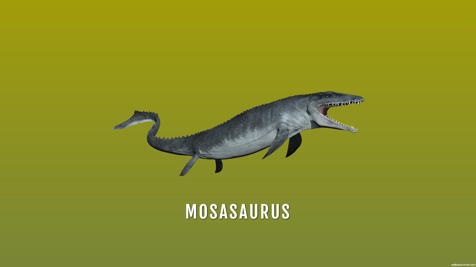 1920x1080 Mosasaurus HD Wallpaperx1080, Desktop