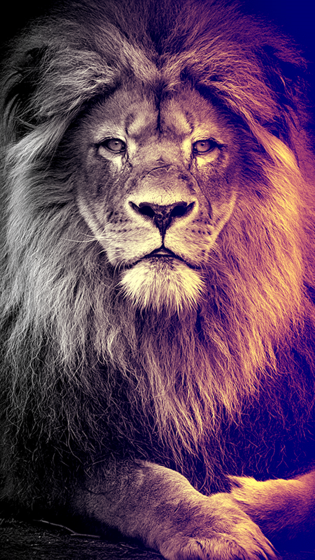 1080x1920 Amazing Lion Wallpaper Free Amazing Lion Background, Phone