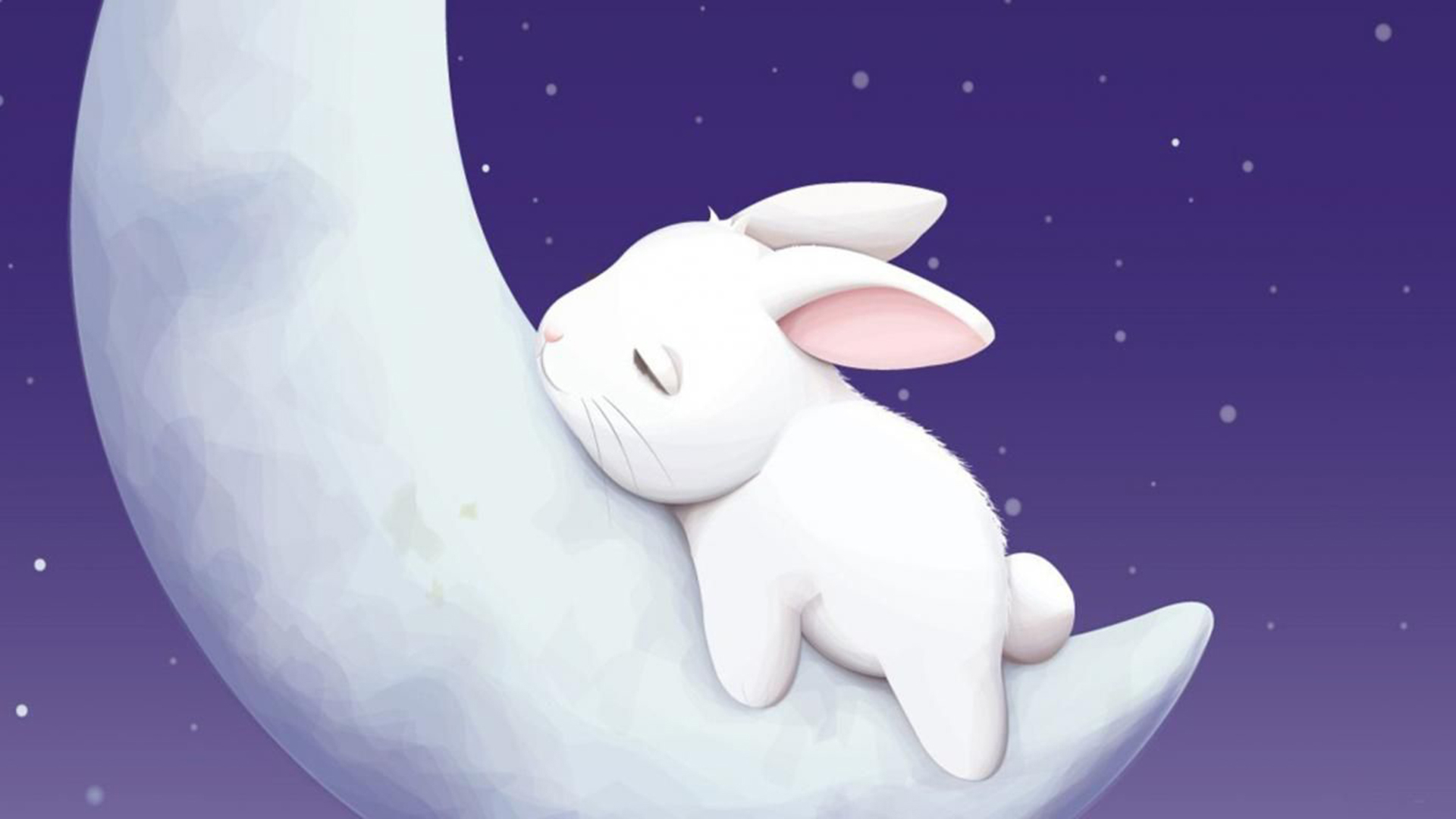 1920x1080 Cute Bunny Wallpaper for Windows Free Download, Desktop