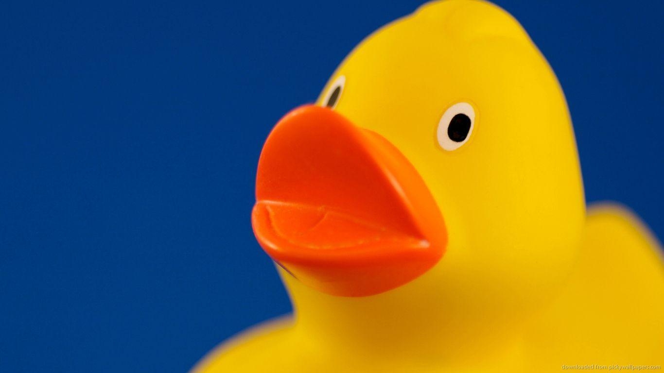 1370x770 Rubber Duck Border Wallpaper and Background, Desktop