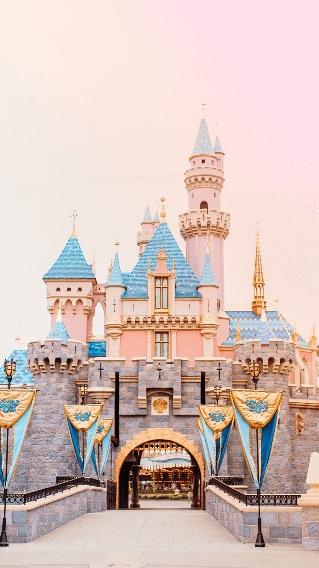 1080x1920 Disneyland iPhone Wallpaper, HD Disneyland iPhone Background on WallpaperBat, Phone