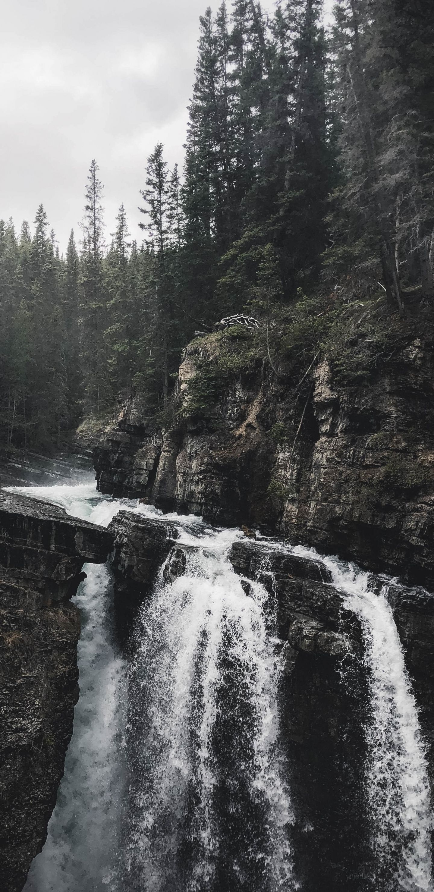 1440x2960 Waterfall, nature, forest,  wallpaper. Nature picture, Phone