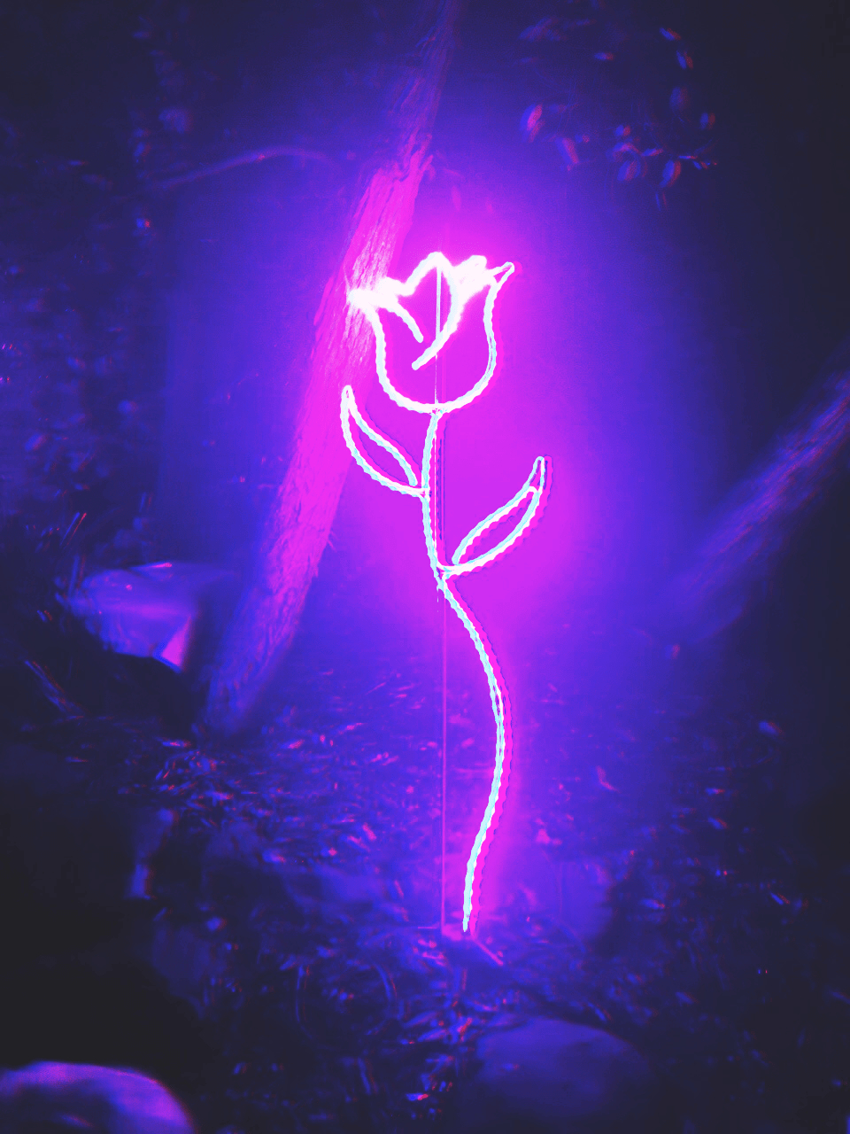 960x1280 Neon Purple Wallpaper, Phone