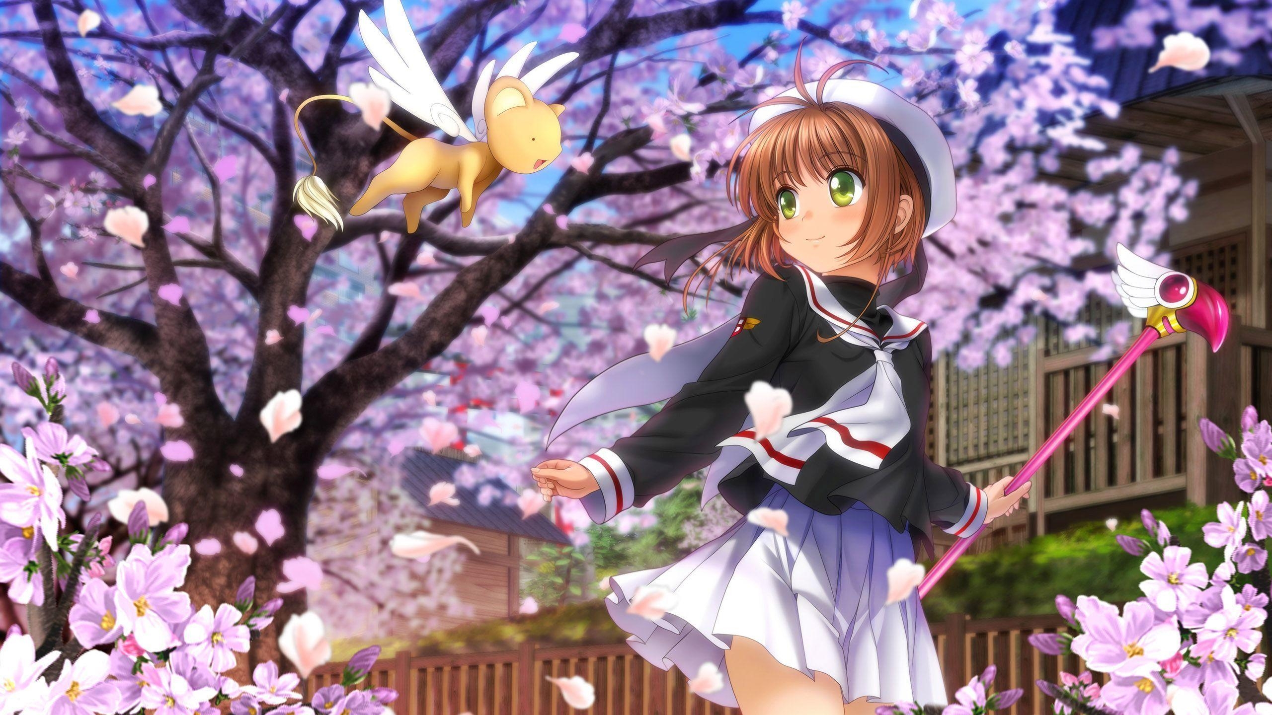 2560x1440 Cardcaptor Sakura Wallpaper, Desktop