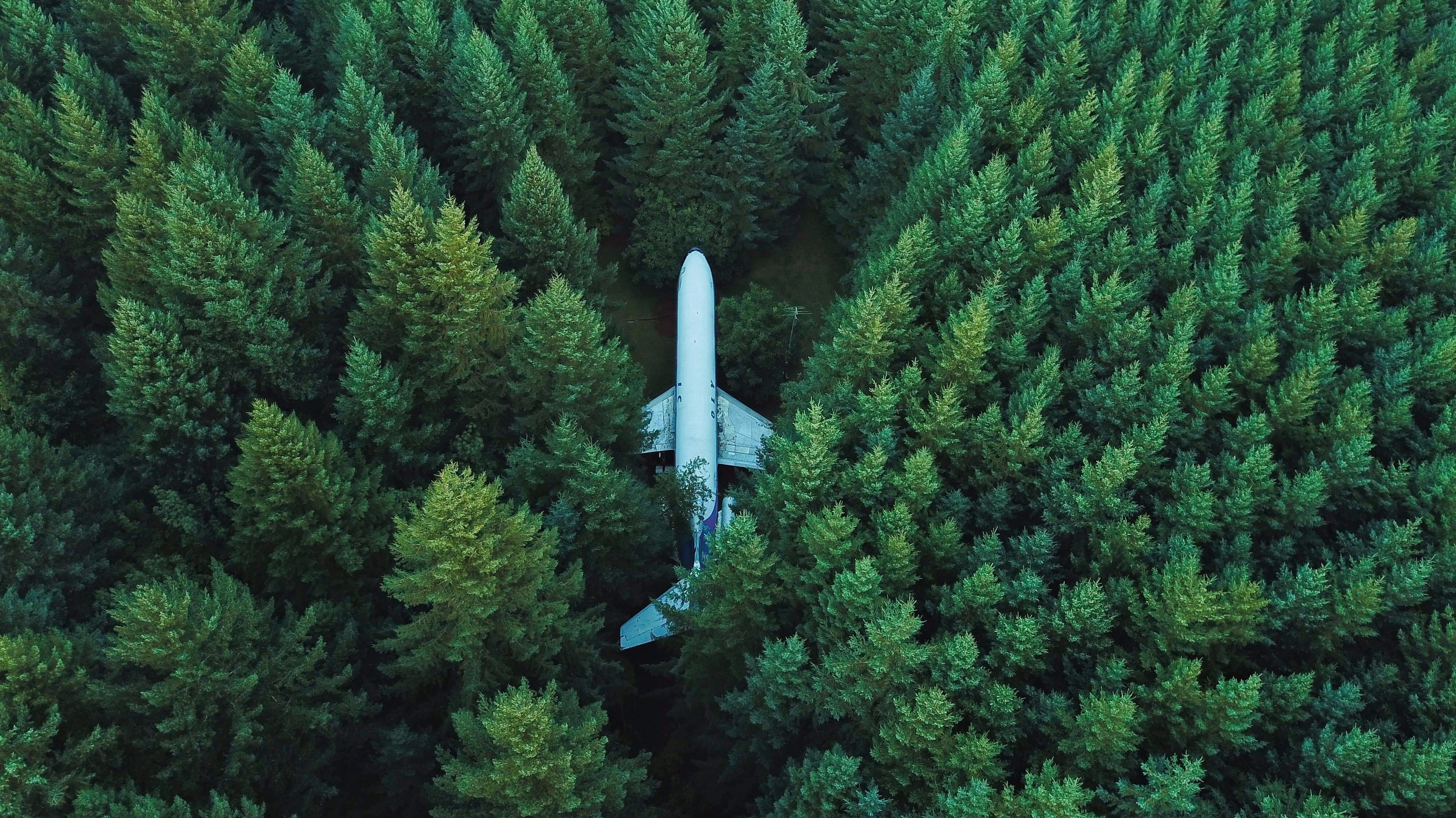 3840x2160 Wallpaper 4k Plane In Middle Of Forest 4k 4k Wallpaper, Forest, Desktop