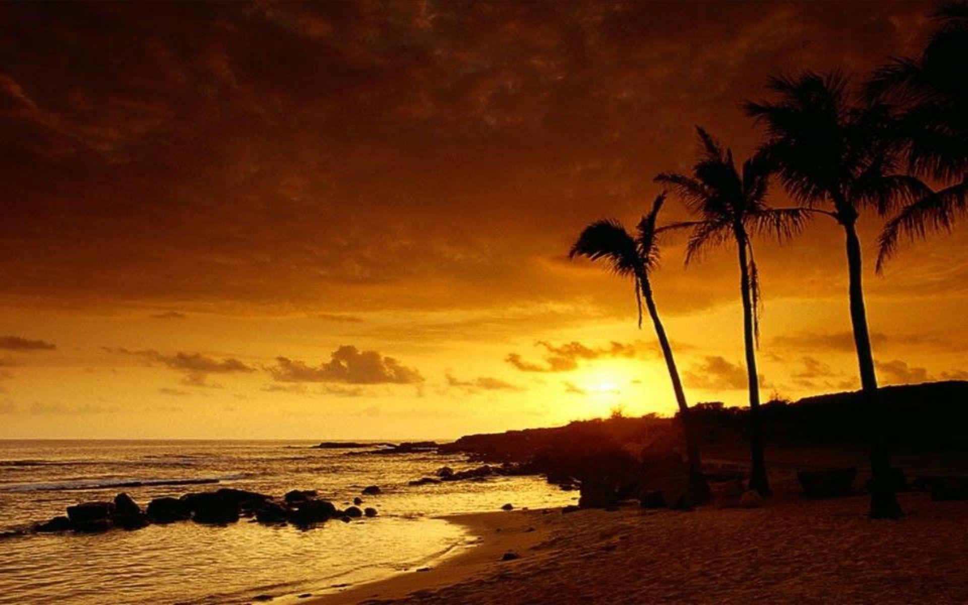 1920x1200 Tropical Sunset Wallpaper Wallpaper Inn, Desktop