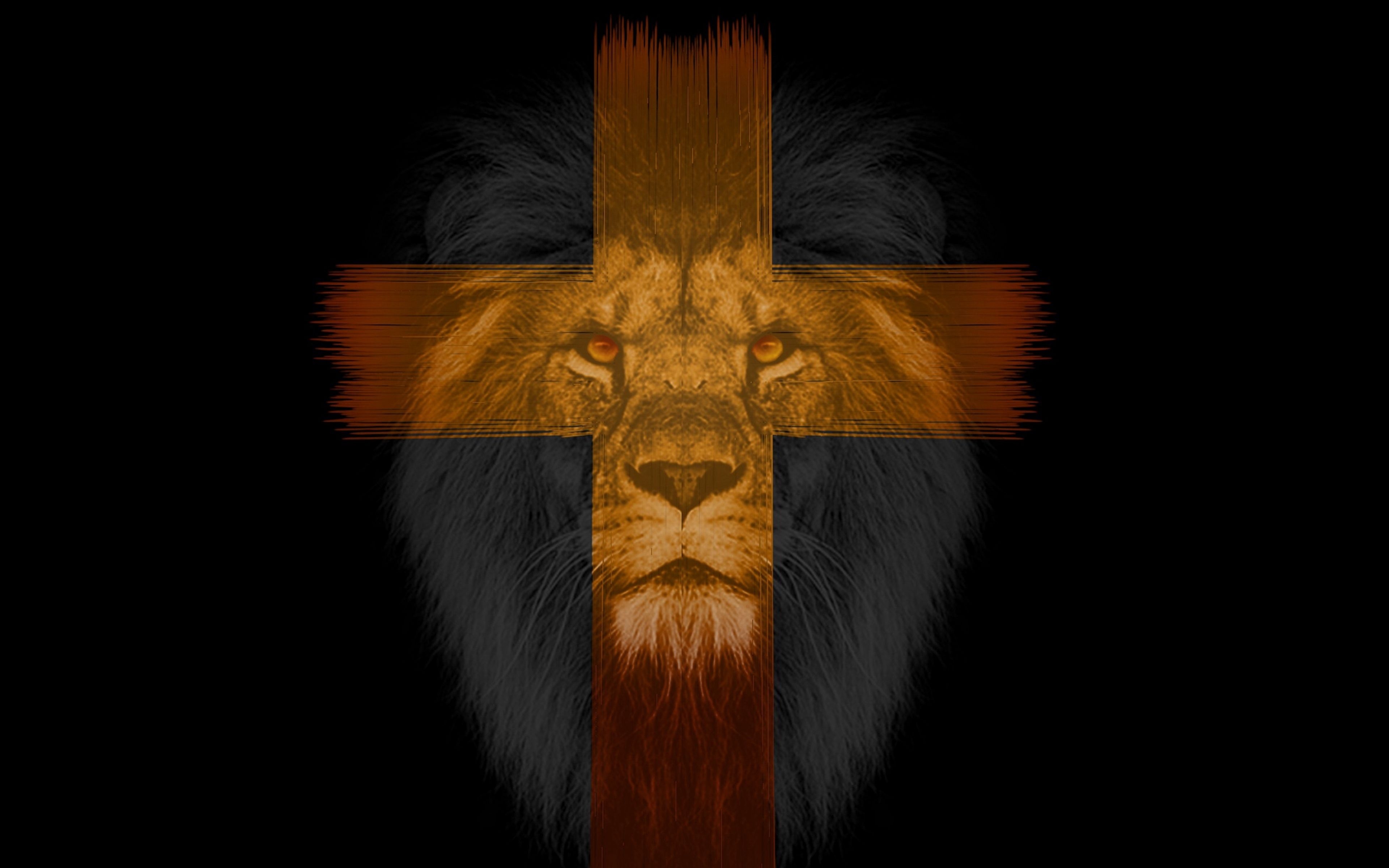 3840x2400 Download wallpaper  lion, cross, muzzle, dark 4k ultra HD, Desktop