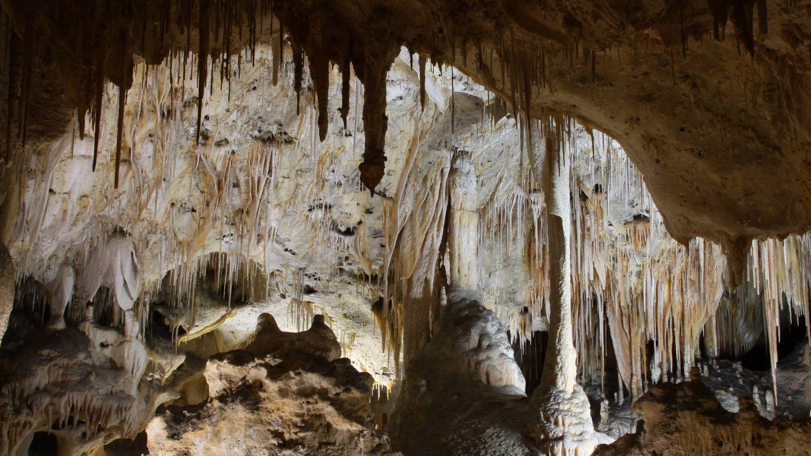 1600x900 Carlsbad Caverns · National Parks Conservation Association, Desktop