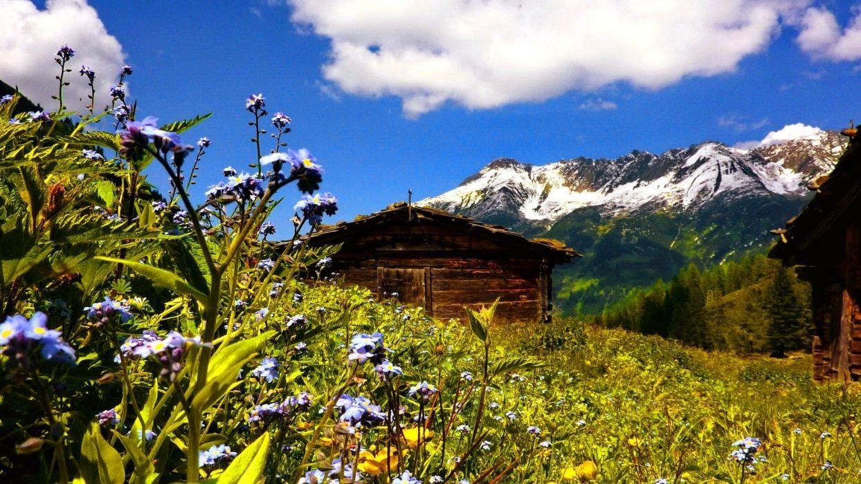 1250x700 Mountain Summer Flowers Peaks Cottage Alps Cabin Hut Wooden Peaceful, Desktop