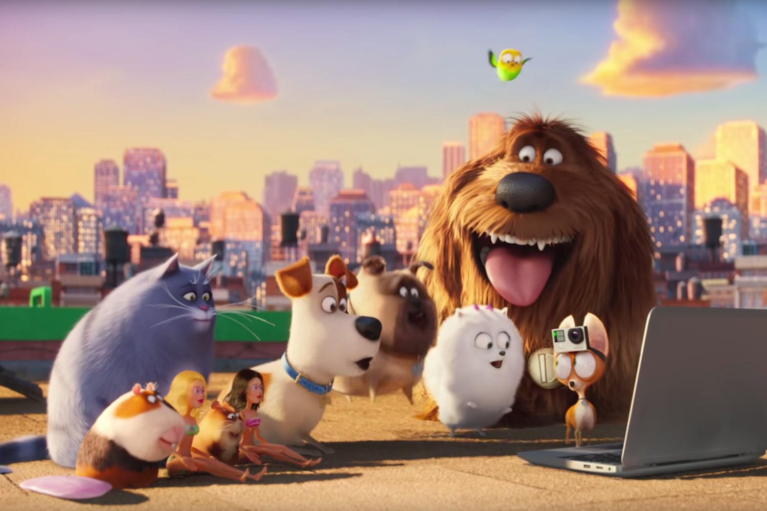 1500x1000 The Secret Life Of Pets wallpaper, Movie, HQ The Secret Life Of, Desktop