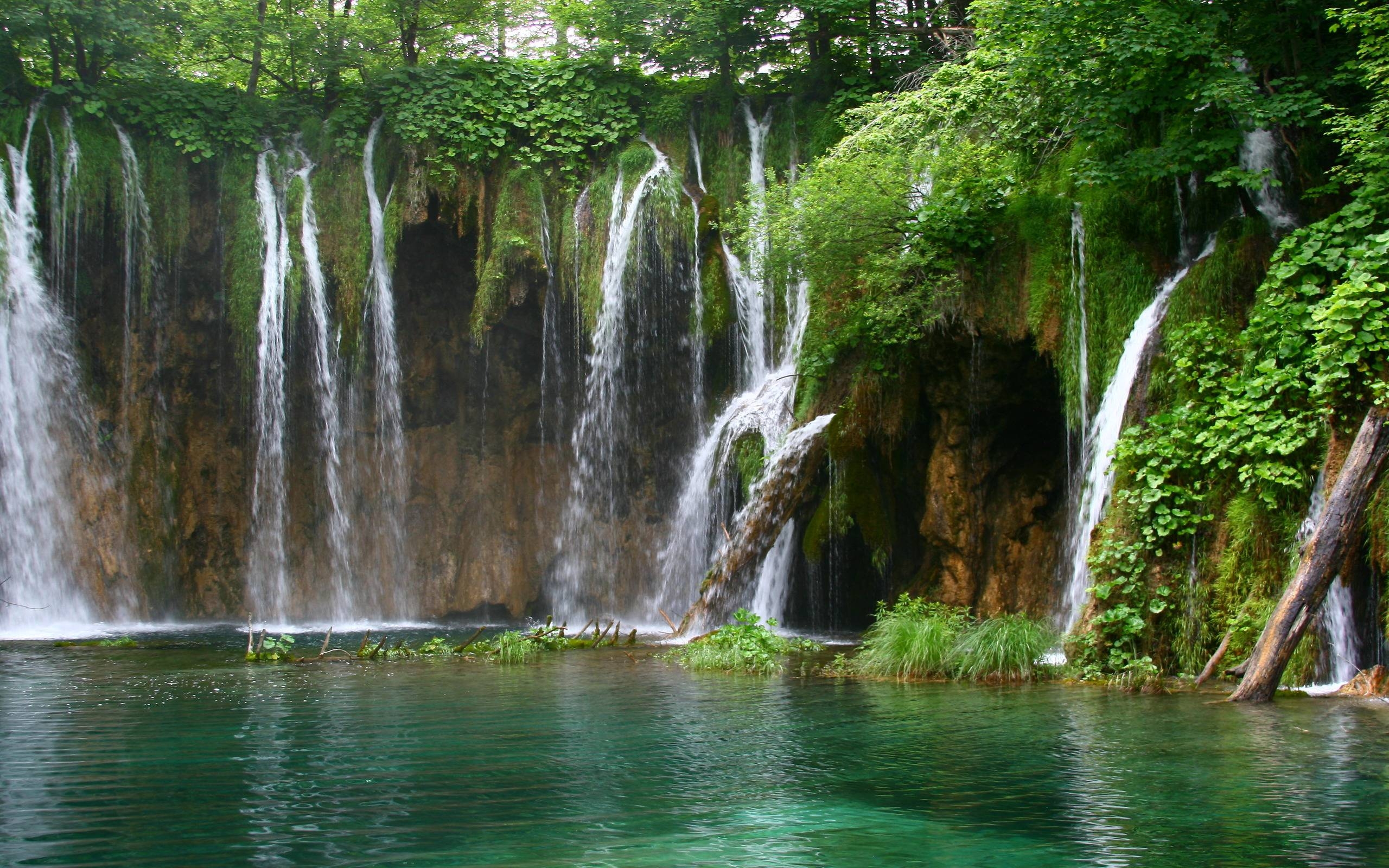 2560x1600 Paradise Nuance Forest Waterfall Wallpaper, iPhone Wallpaper, Desktop