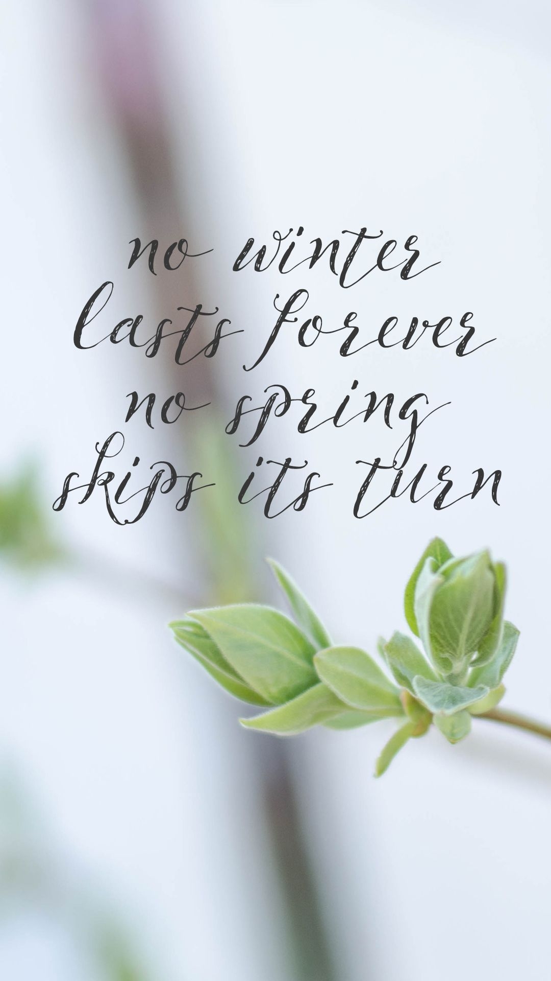 1080x1920 No Winter Lasts Forever- Spring Wallpaper are Here!, Phone