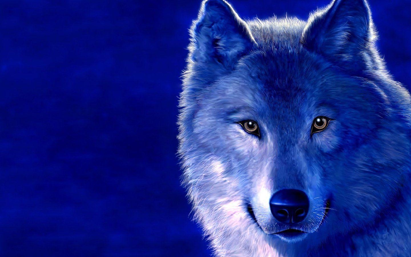 1440x900 Download wallpaper: ice wolf, photo, Wolves, wallpaper for desktop, Desktop