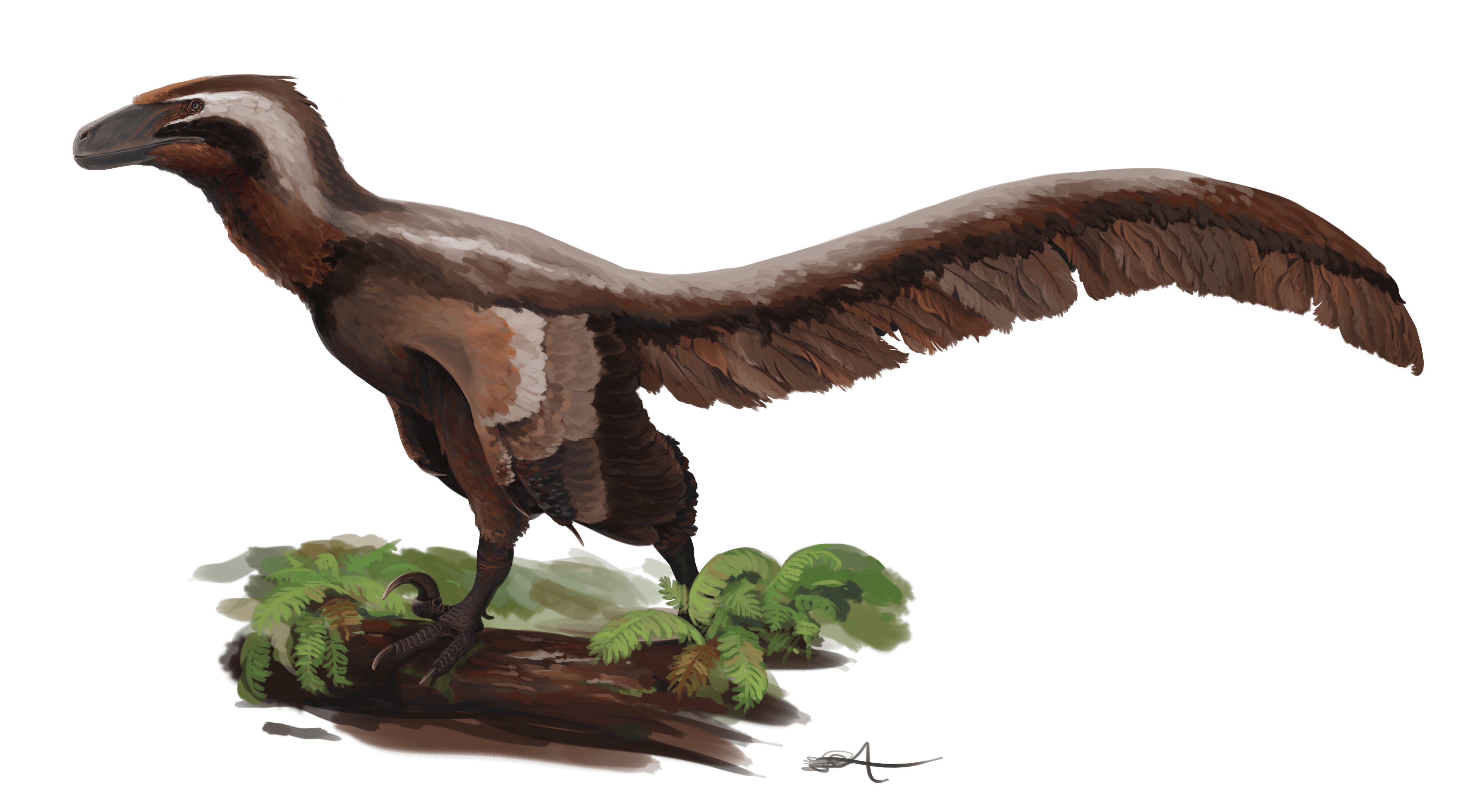 4620x2550 Deinonychus antirrhopus: More Than A “Six Foot Turkey”'s Door, Desktop