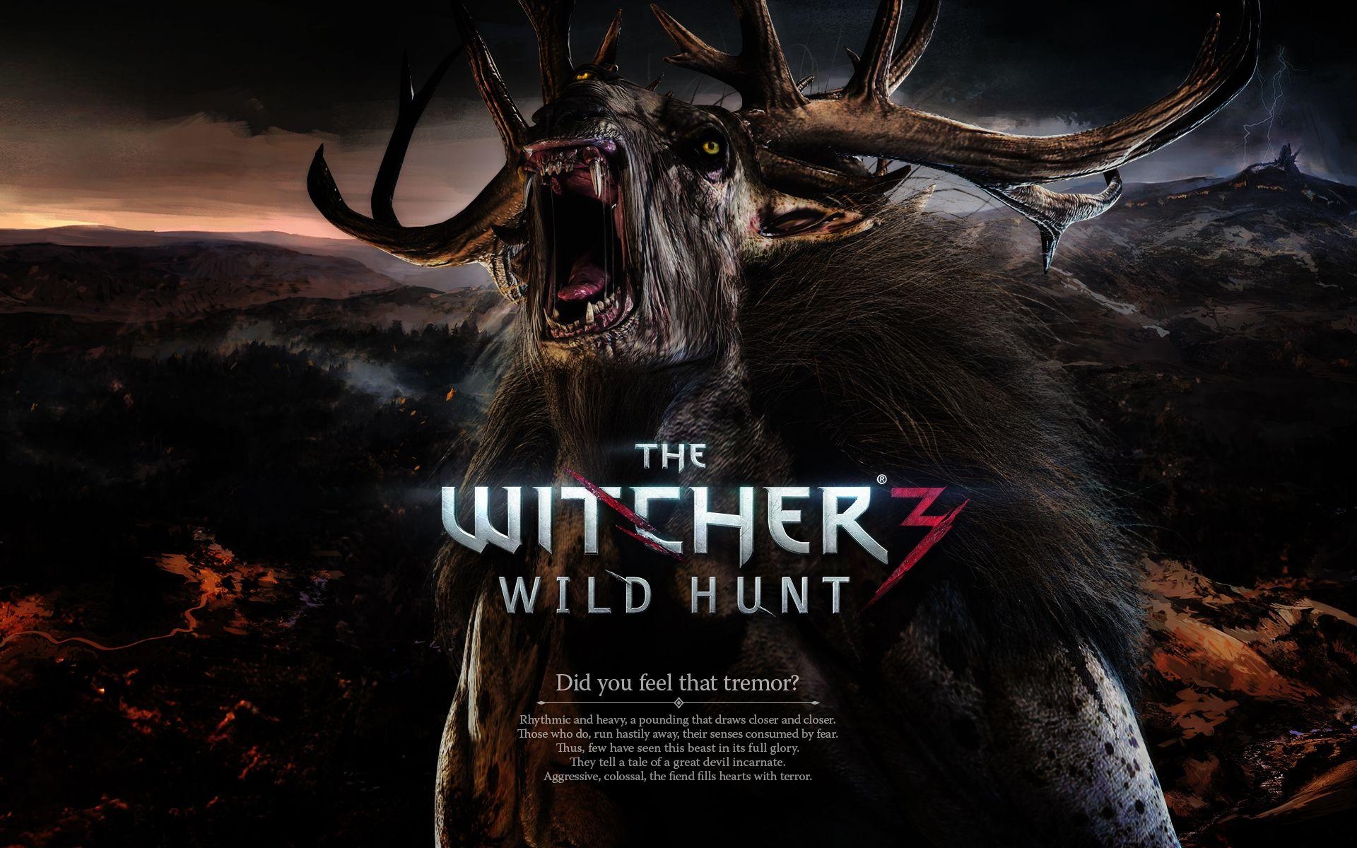 1920x1200 The Witcher 3 Wild Hunt Wallpaper, Top Beautiful The Witcher 3, Desktop