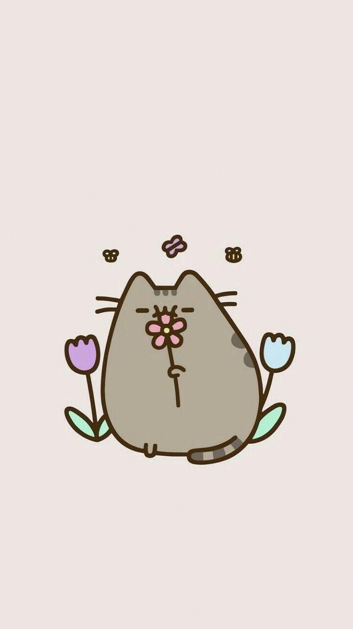 720x1280 Can I sleep with you. Pusheen cute, Pusheen cat, Cute animal drawings, Phone