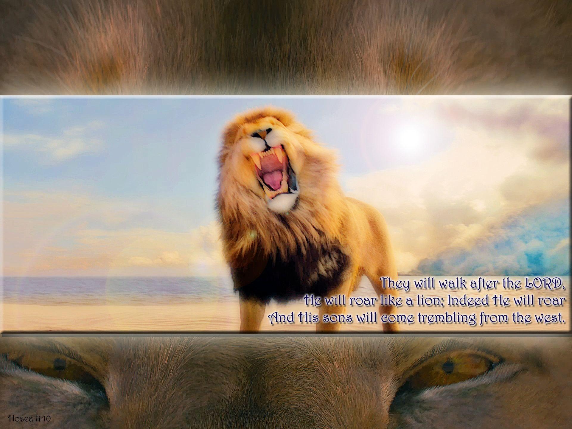 1920x1440 NarniaWeb Community Forums • View topic - "He will roar like a, Desktop