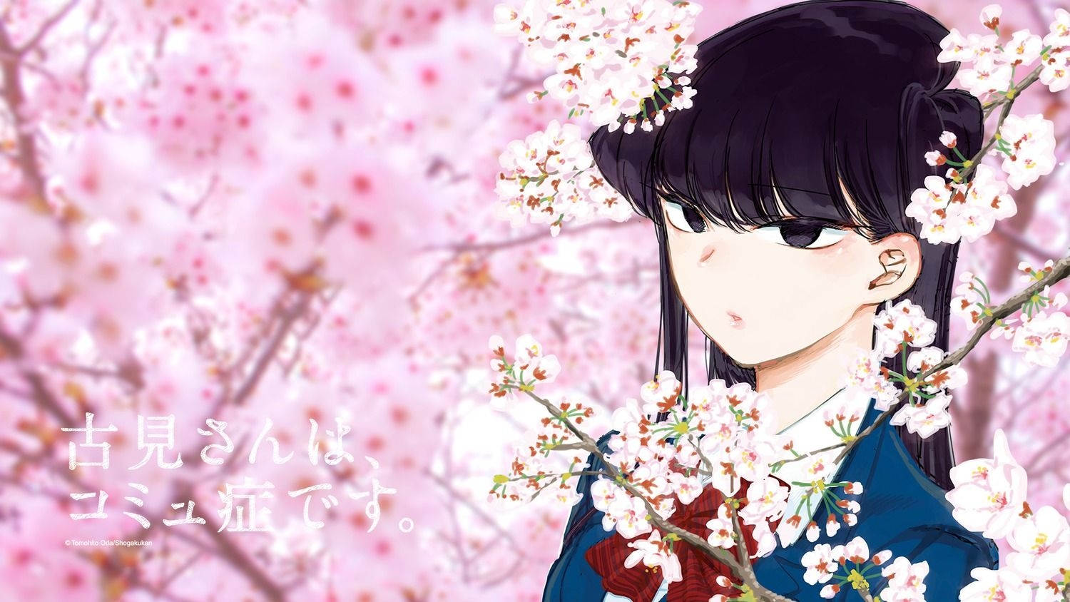 1500x850 Oda Tomohito Komi San Wa Komyushou Desu. Komi Shouko Seifuku Wallpaper, Desktop