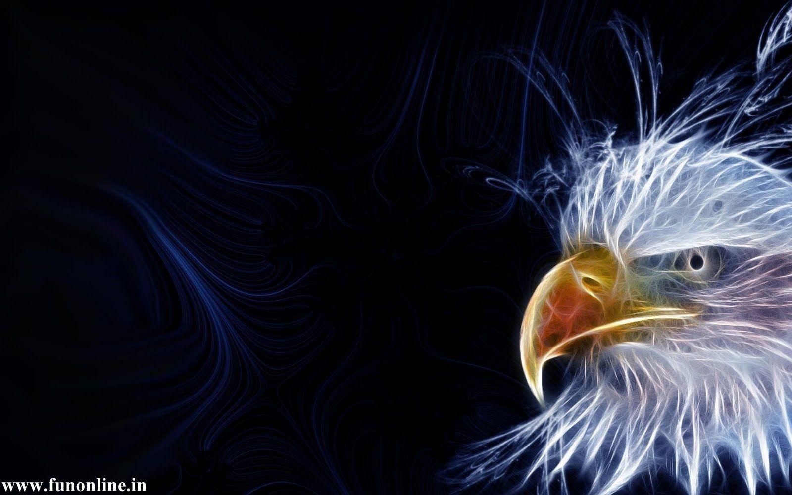 1600x1000 Eagle Wallpaper for Desktop, Desktop