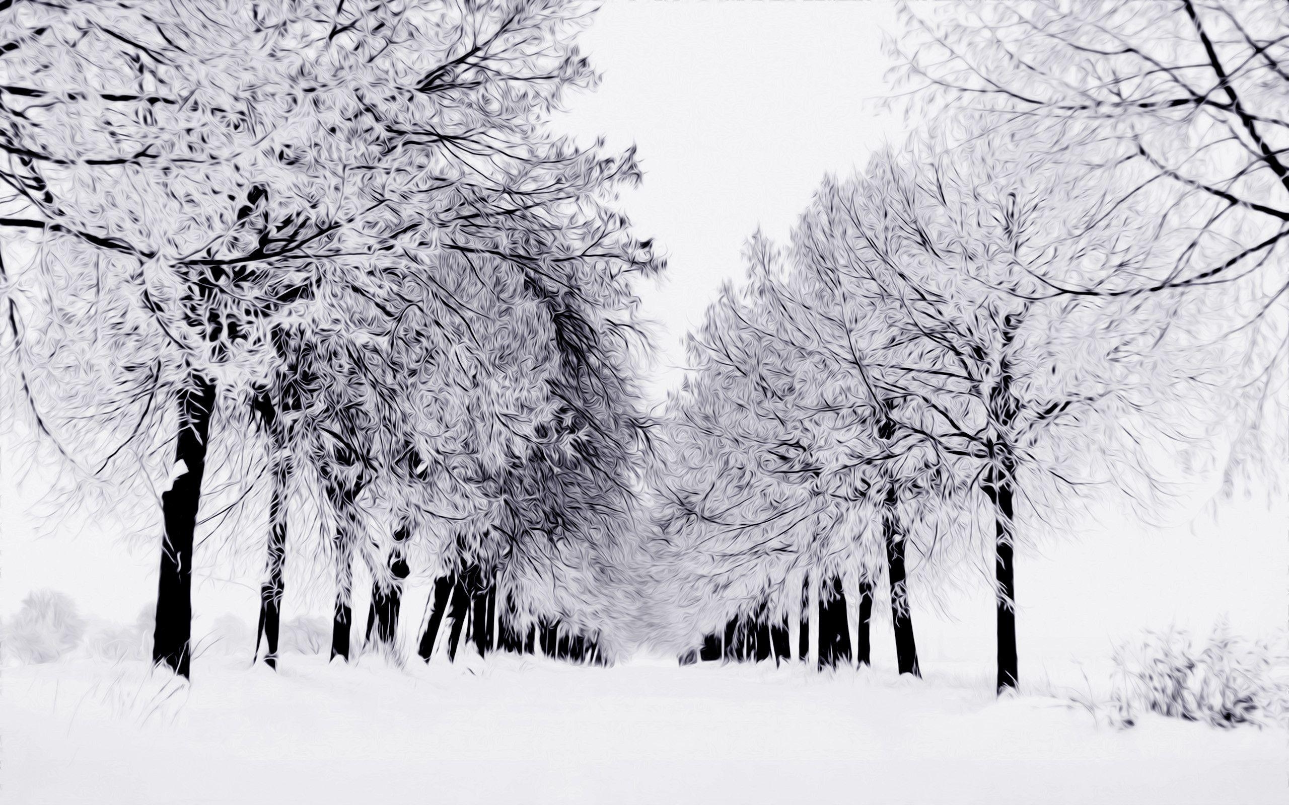 2560x1600 wallpaper desktop nature winter, Desktop