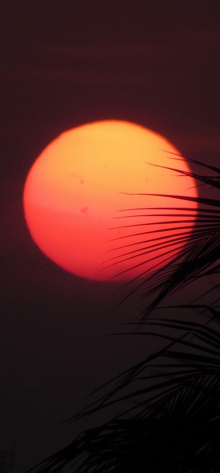 720x1550 Sun Red Sunset Wallpaper - [], Phone