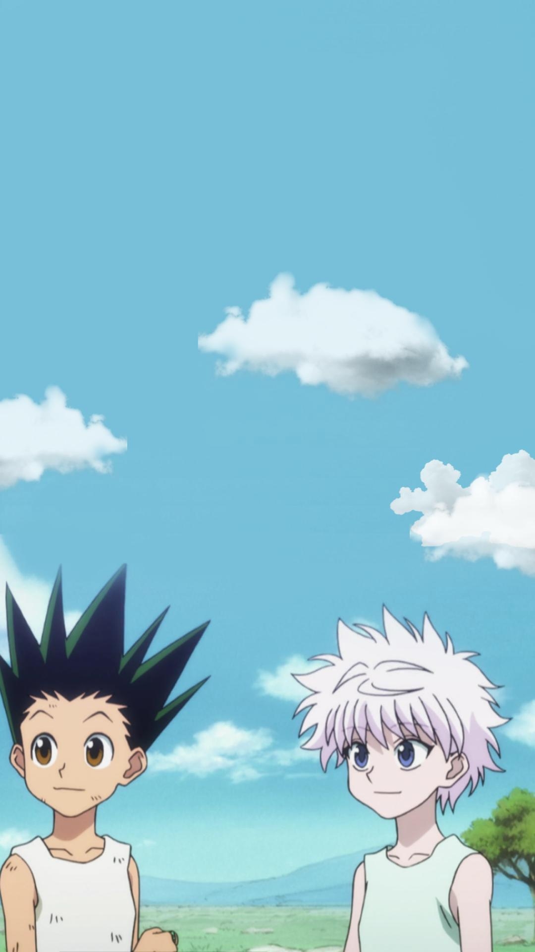 1080x1920 Gon and Killua Phone Wallpaper Free Gon and Killua Phone Background, Phone