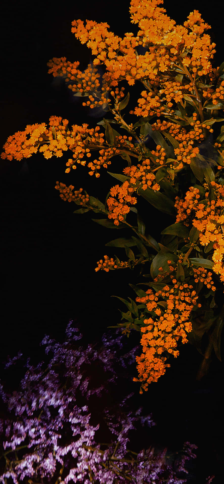 890x1920 Download Orange Flowers Over Violet Flowers Wallpaper, Phone