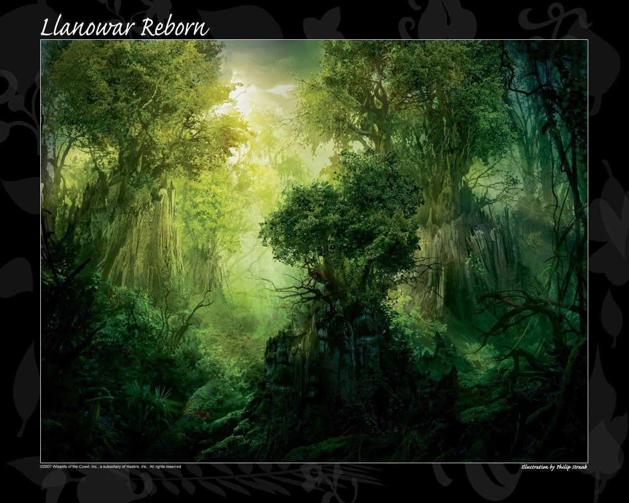 1280x1030 Wallpaper of the Week: Llanowar Reborn, Daily MTG, Magic, Desktop