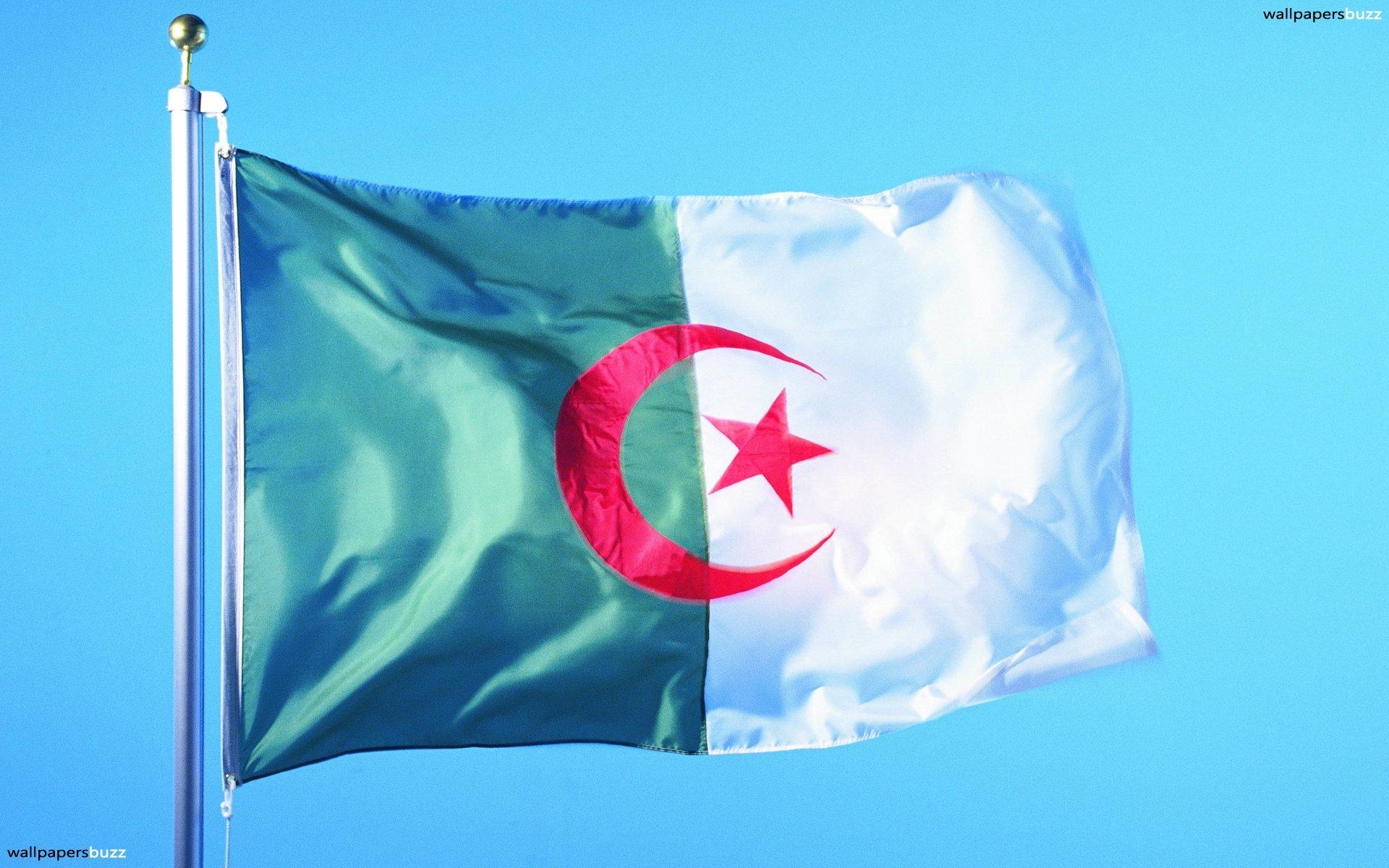 1920x1200 The flag of Algeria HD Wallpaper, Desktop