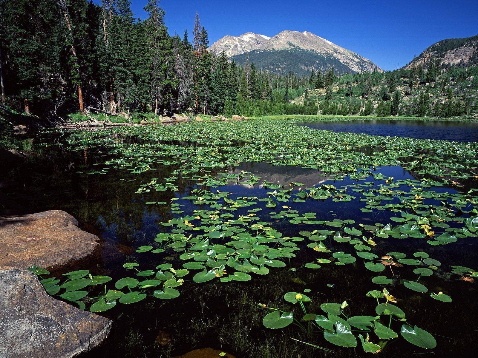 1600x1200 Cub Lake, Stones Mountain, Rocky Mountain National Park, Colorado, Desktop