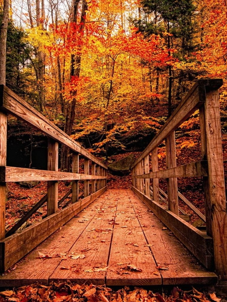 770x1030 Autumn Landscapes iPad wallpaper, Phone