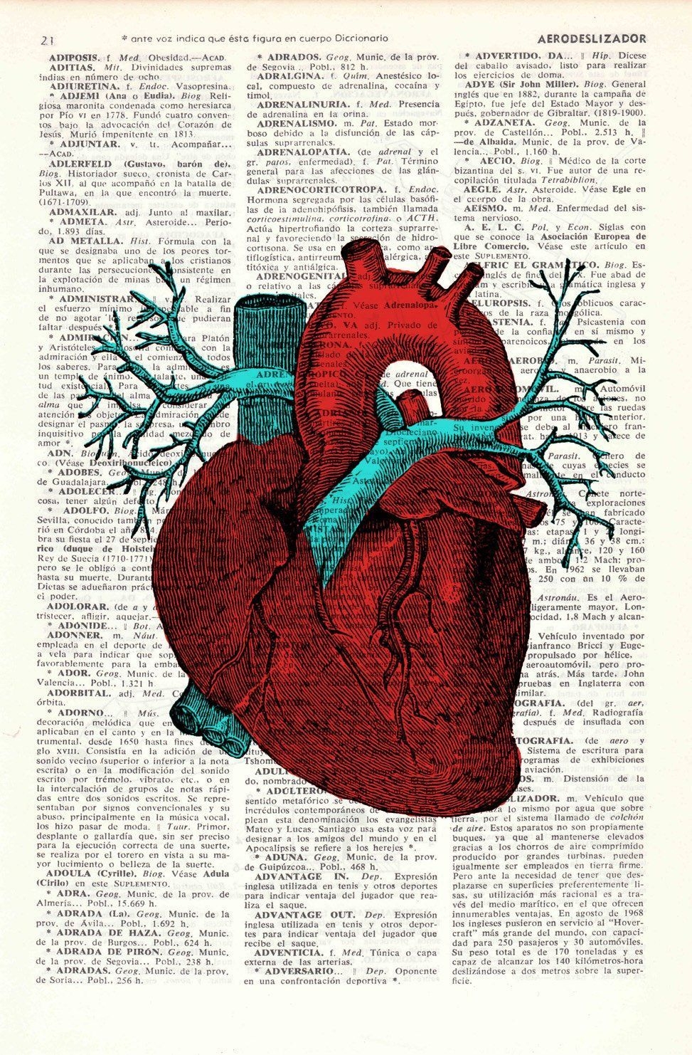 980x1490 Artistic Anatomy Human Heart Wallpaper, Phone